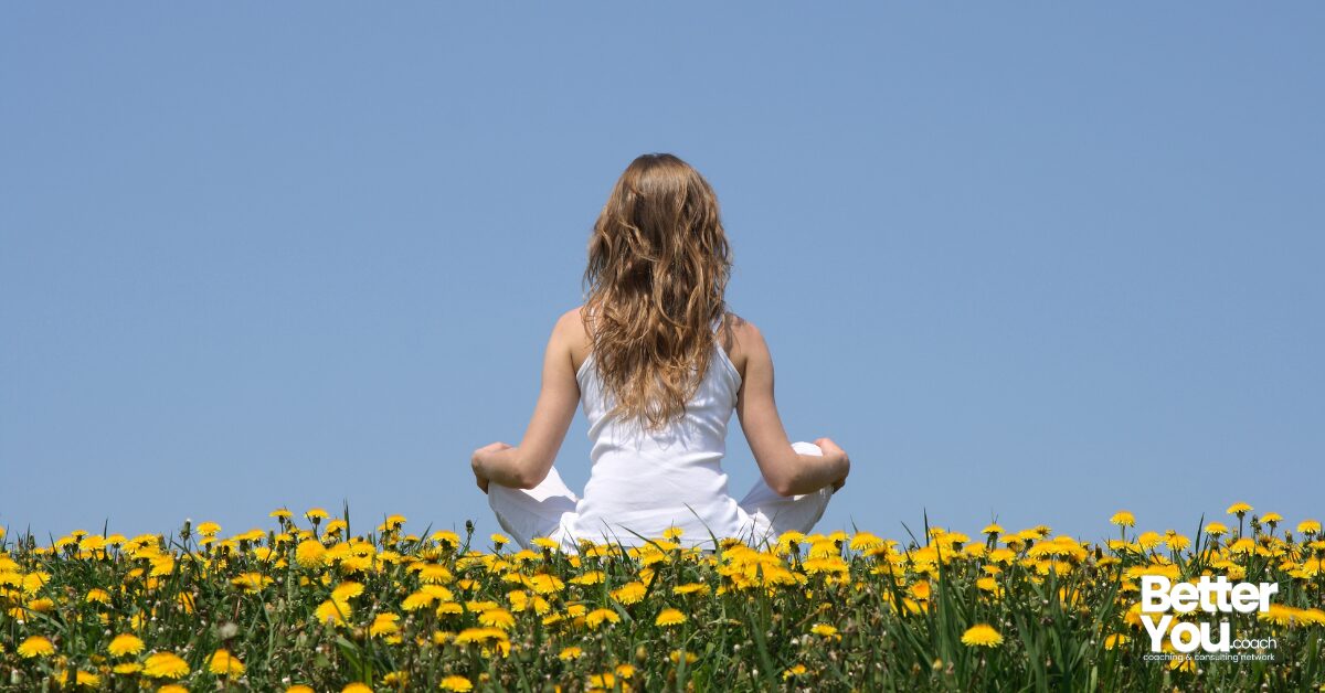 Mindfulness for the Rest of Us: Finding Stillness in the Noise of Life